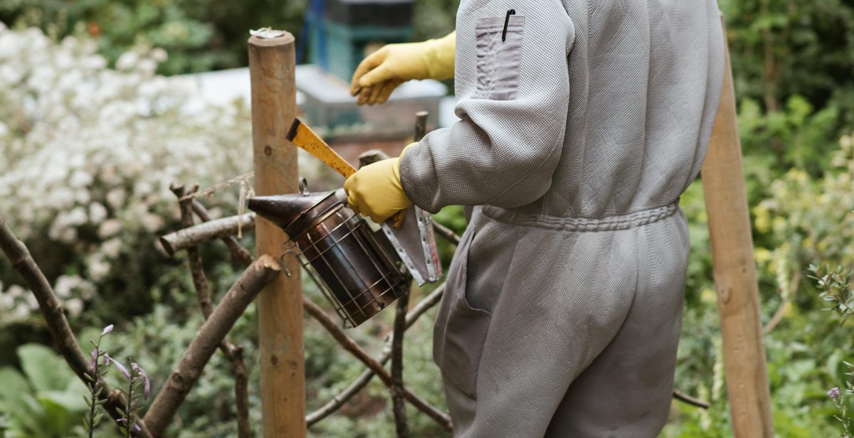 beekeeping equipment