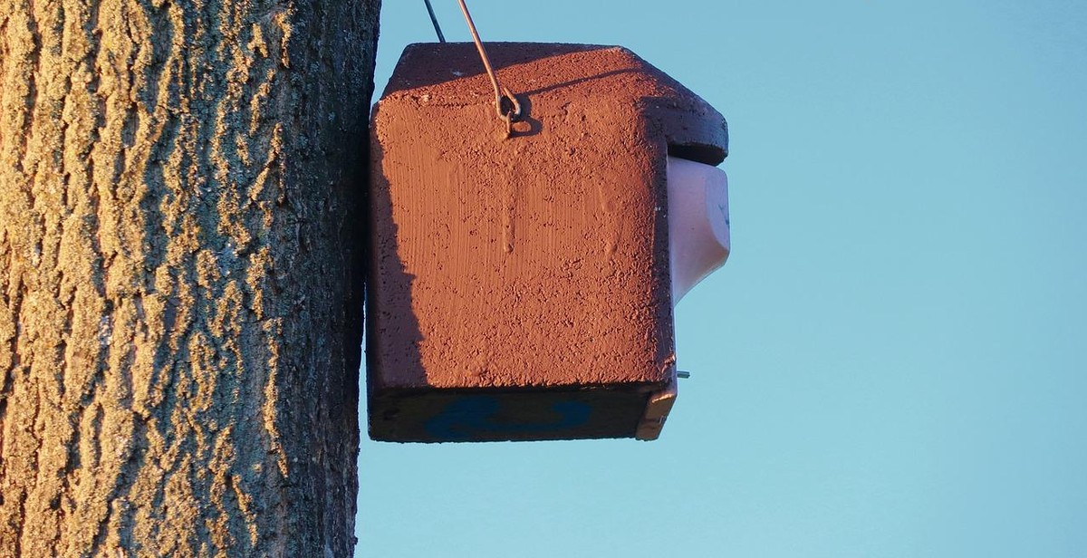 bird feeder materials