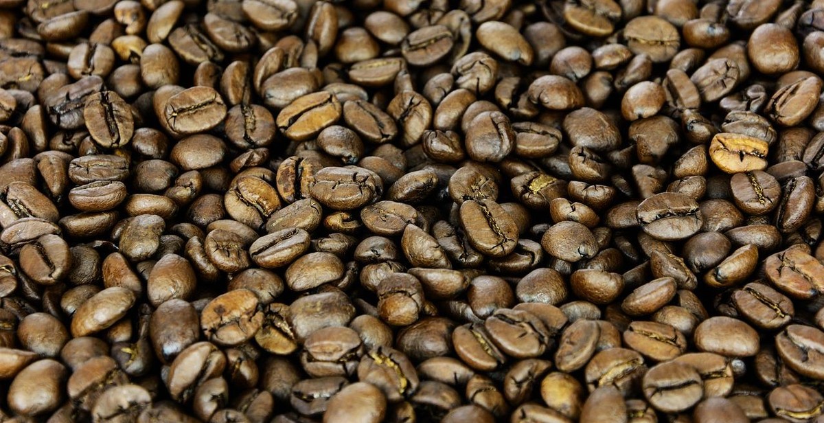 brazilian coffee beans