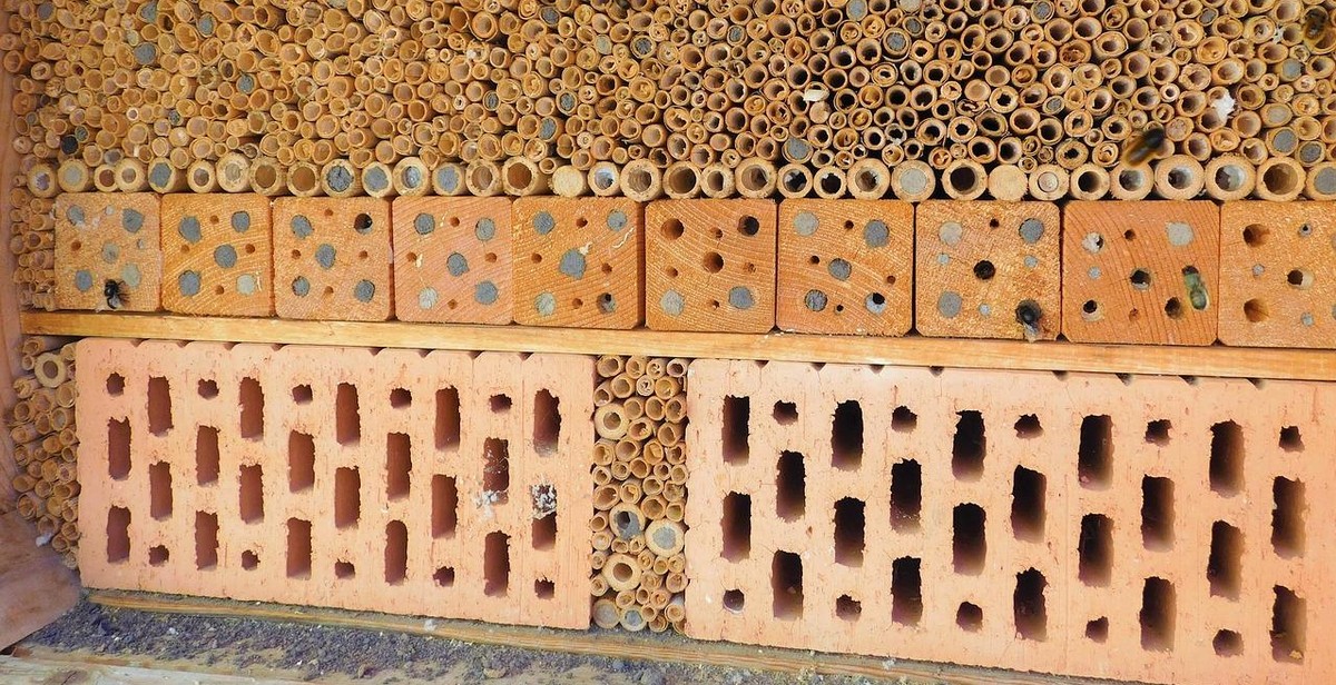 building bee hotel