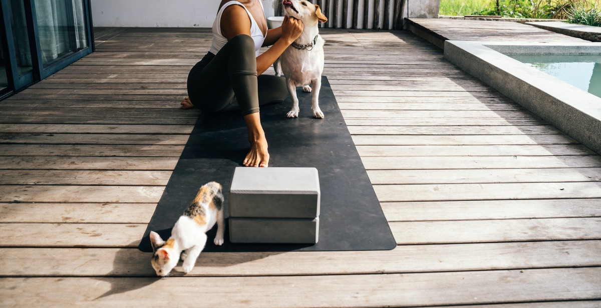 cat and dog separate spaces