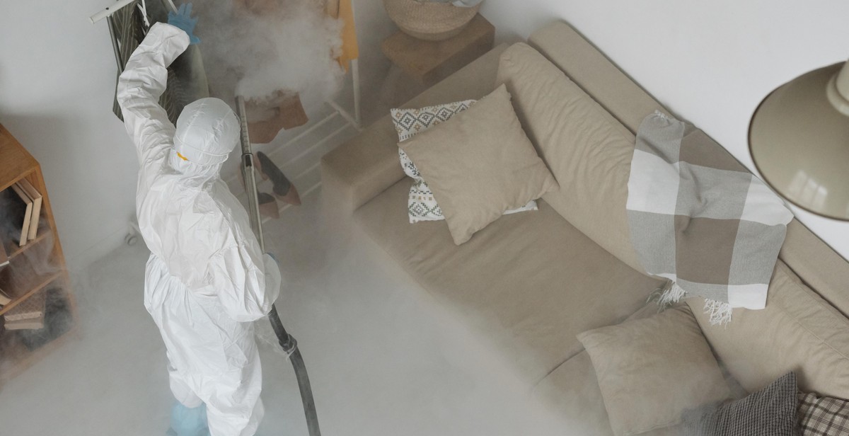 clean home after smoking