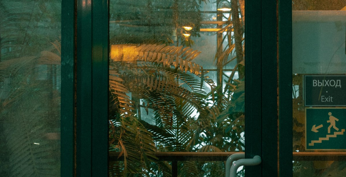 cleaning greenhouse