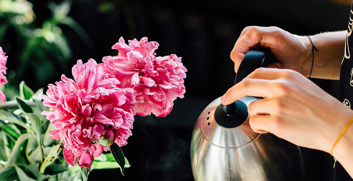 coffee brewing techniques