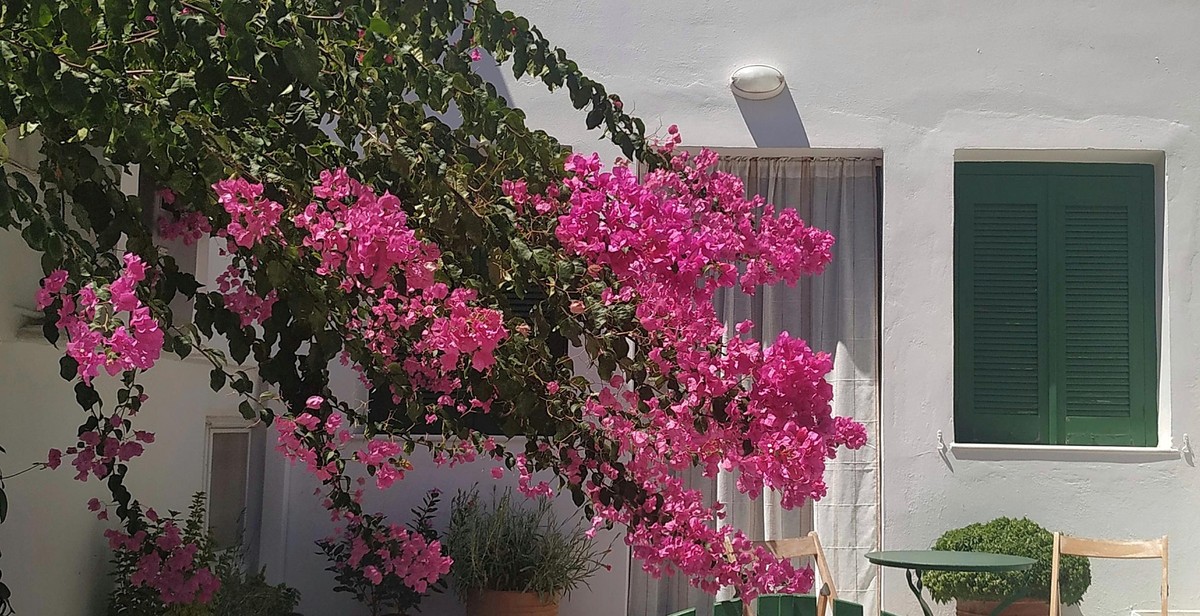 container garden balcony patio