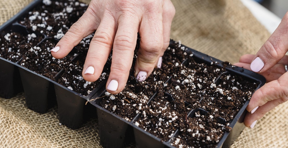 container garden care