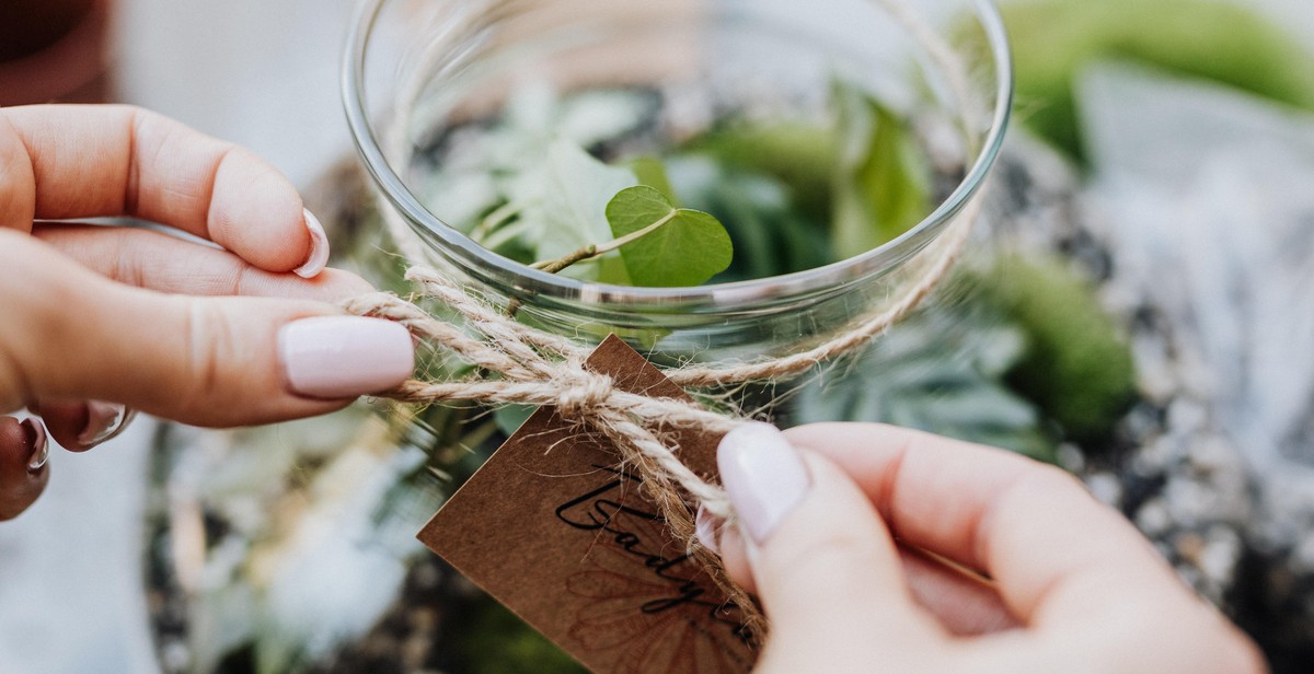 DIY Terrarium