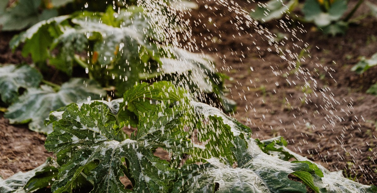 filling pvc pipes with soil and plants