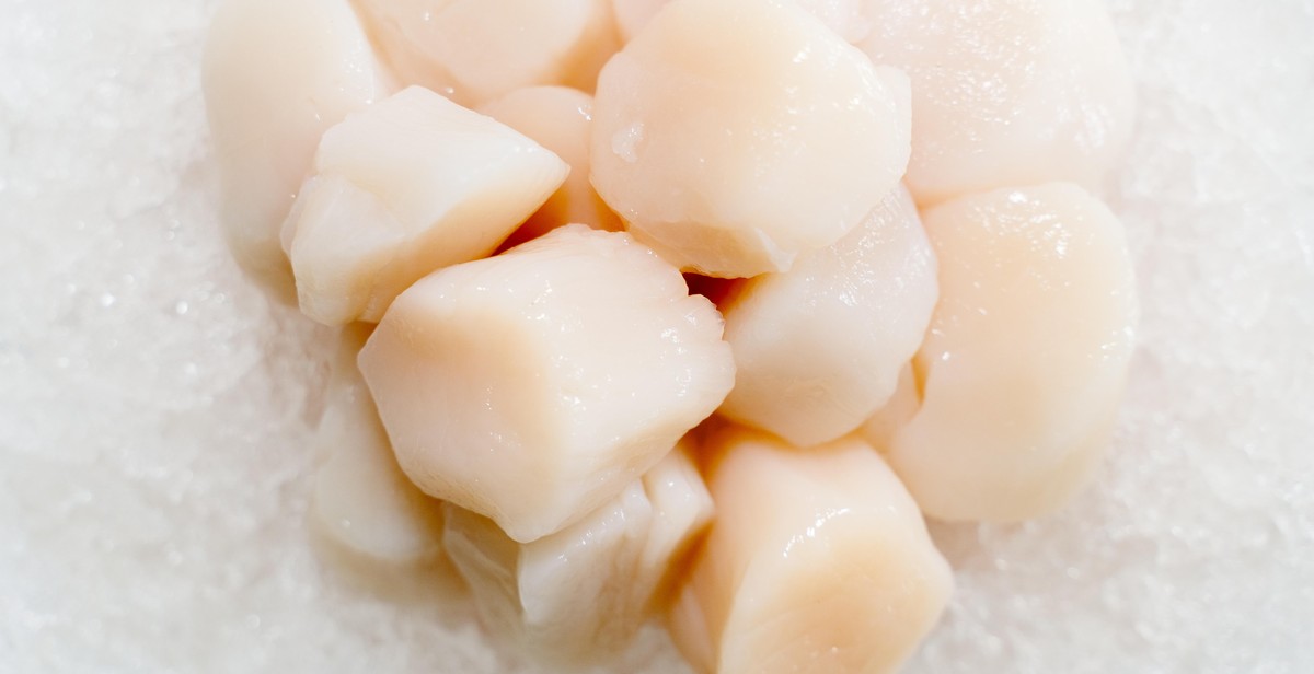 fresh scallops