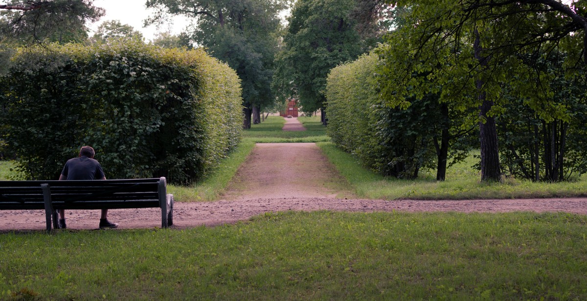 garden pathway finishing touches