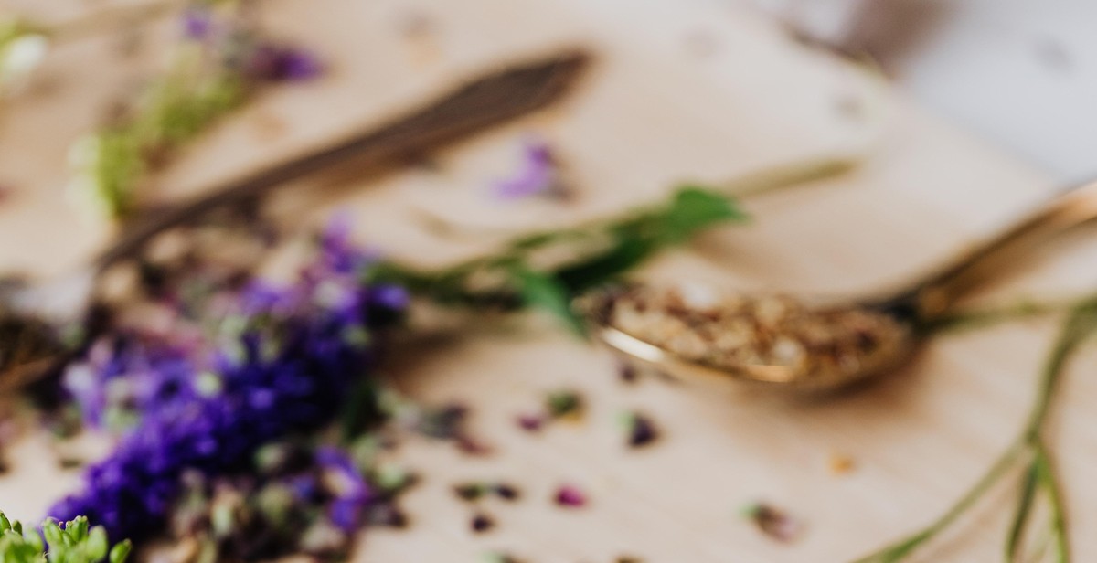 harvesting medicinal herbs