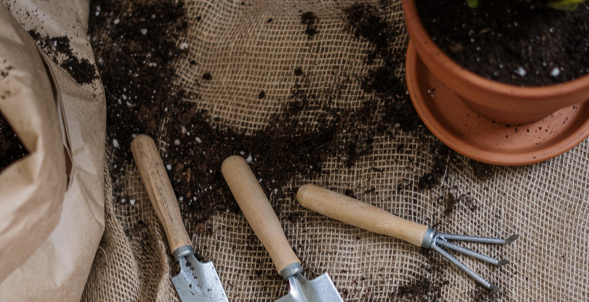 herb garden preparation