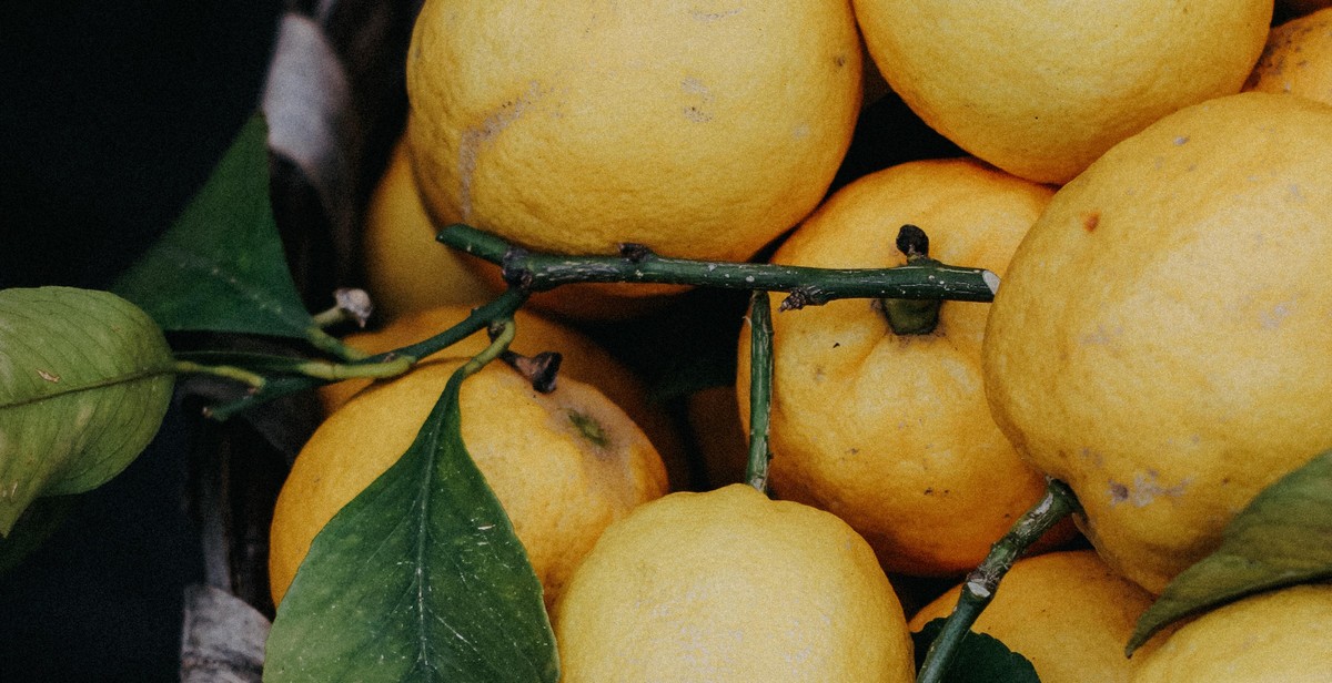 homebrewing with fruit