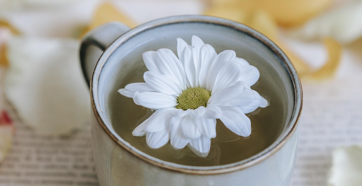 images of white tea being appreciated