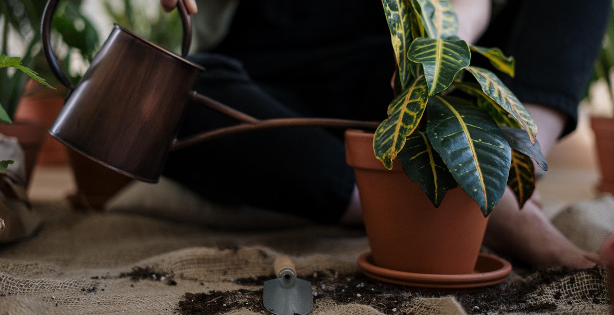 indoor herb garden conclusion