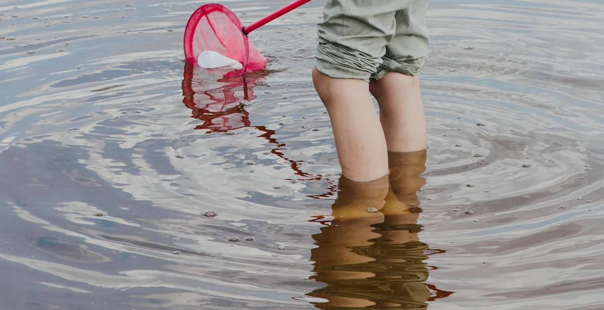 lake pollution sources