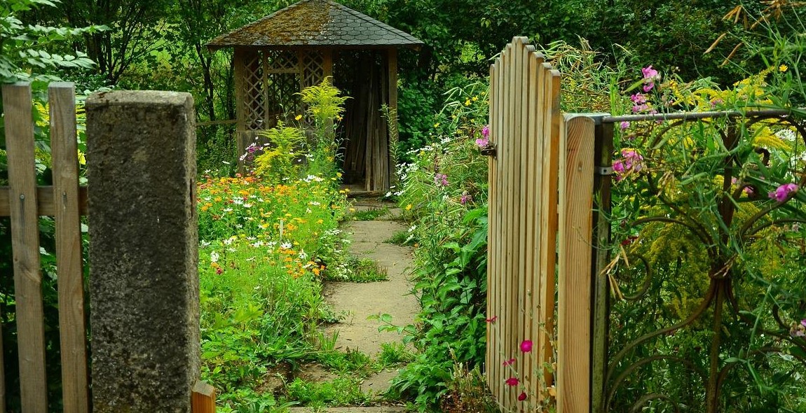 lush garden