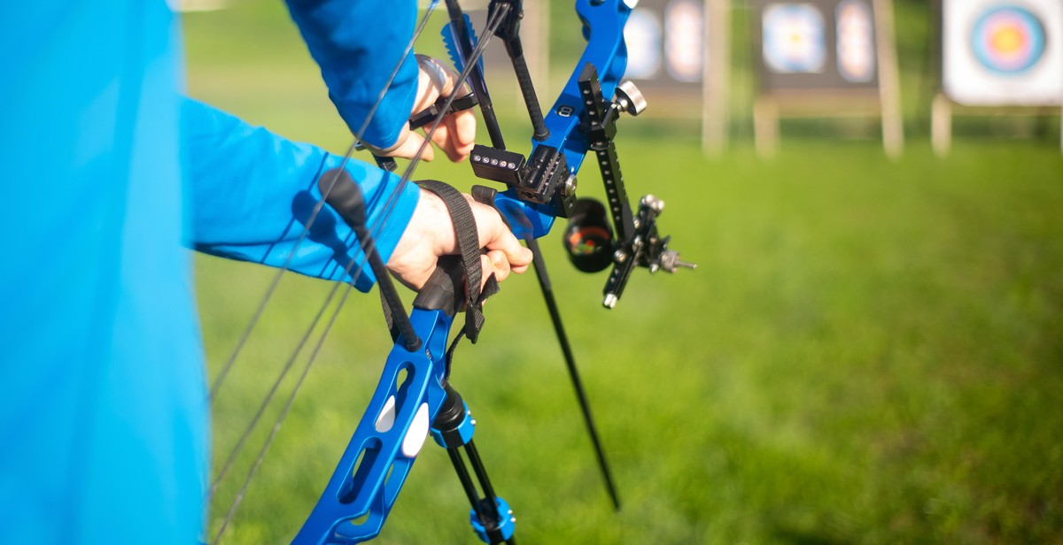 parrot target training