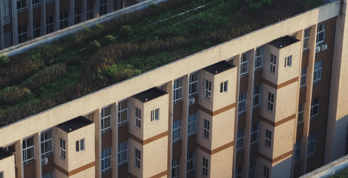 rooftop garden benefits