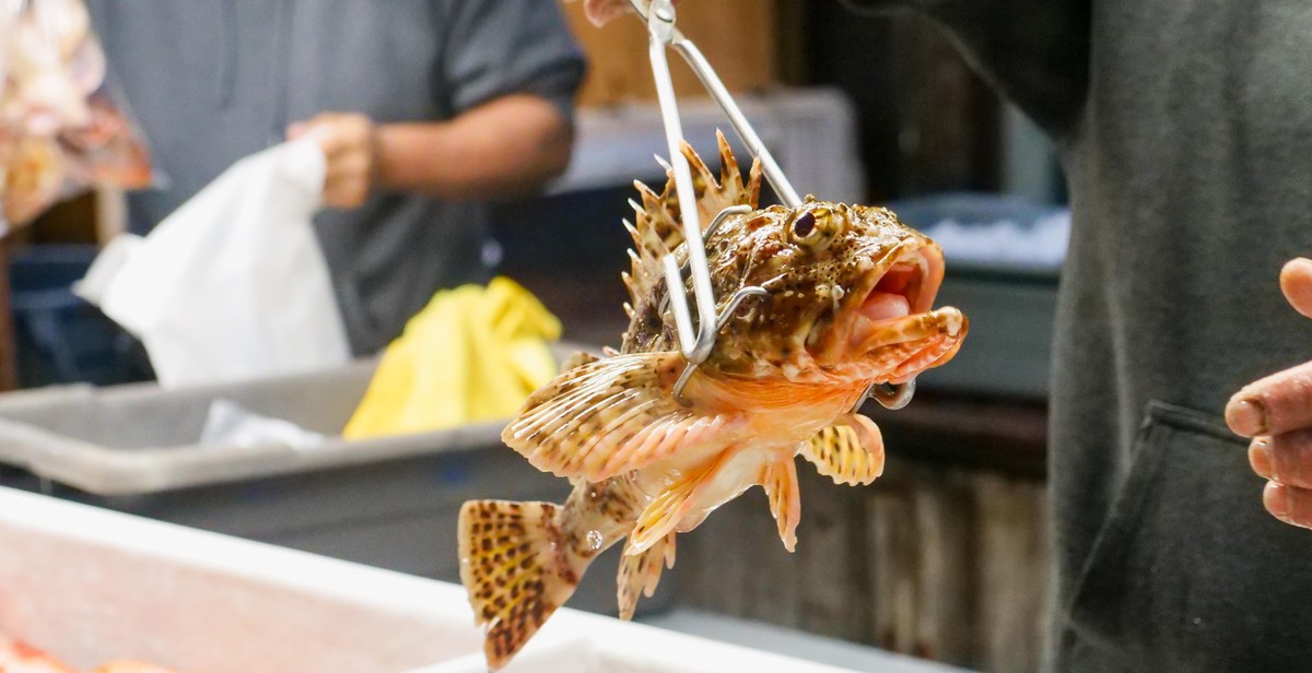 selecting fresh seafood