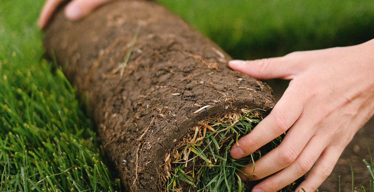 soil preparation