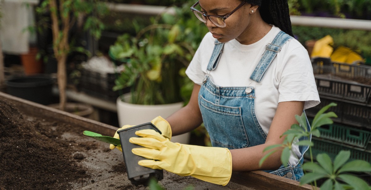 soil preparation for native plants