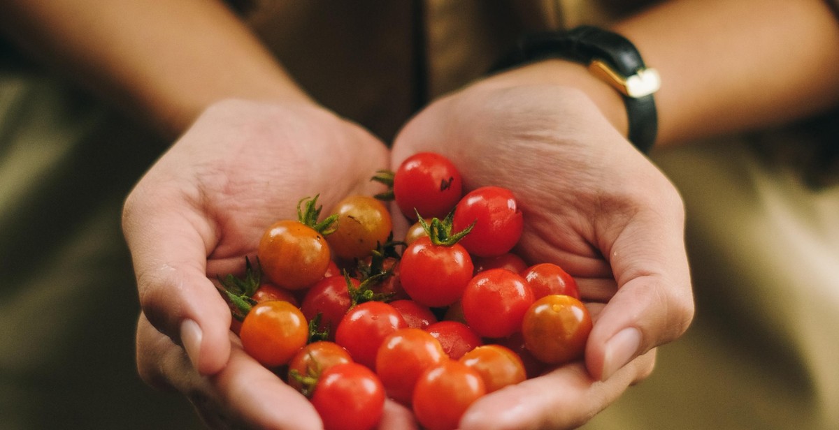 sustainable urban garden harvest