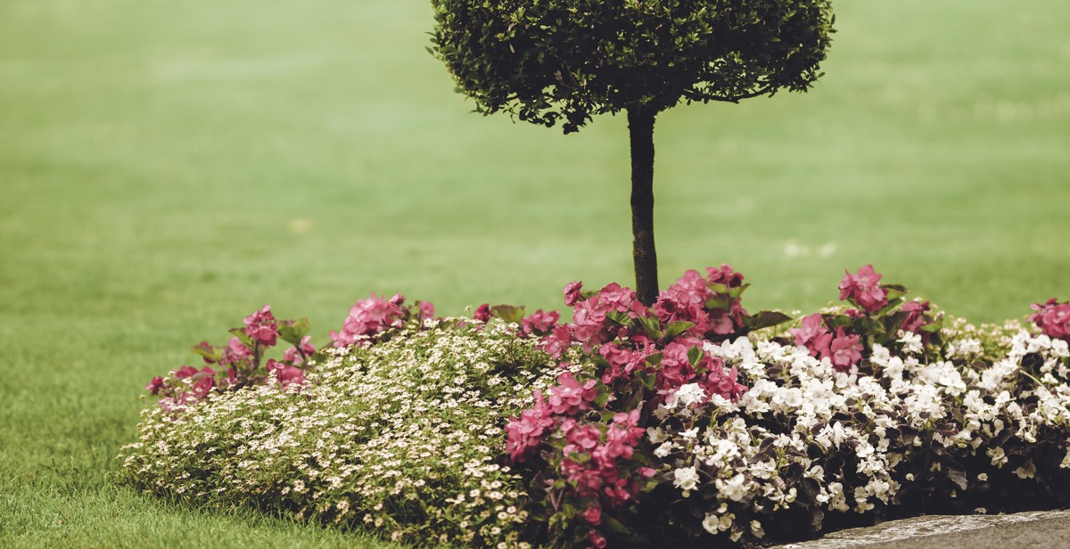 sustainable urban garden planting