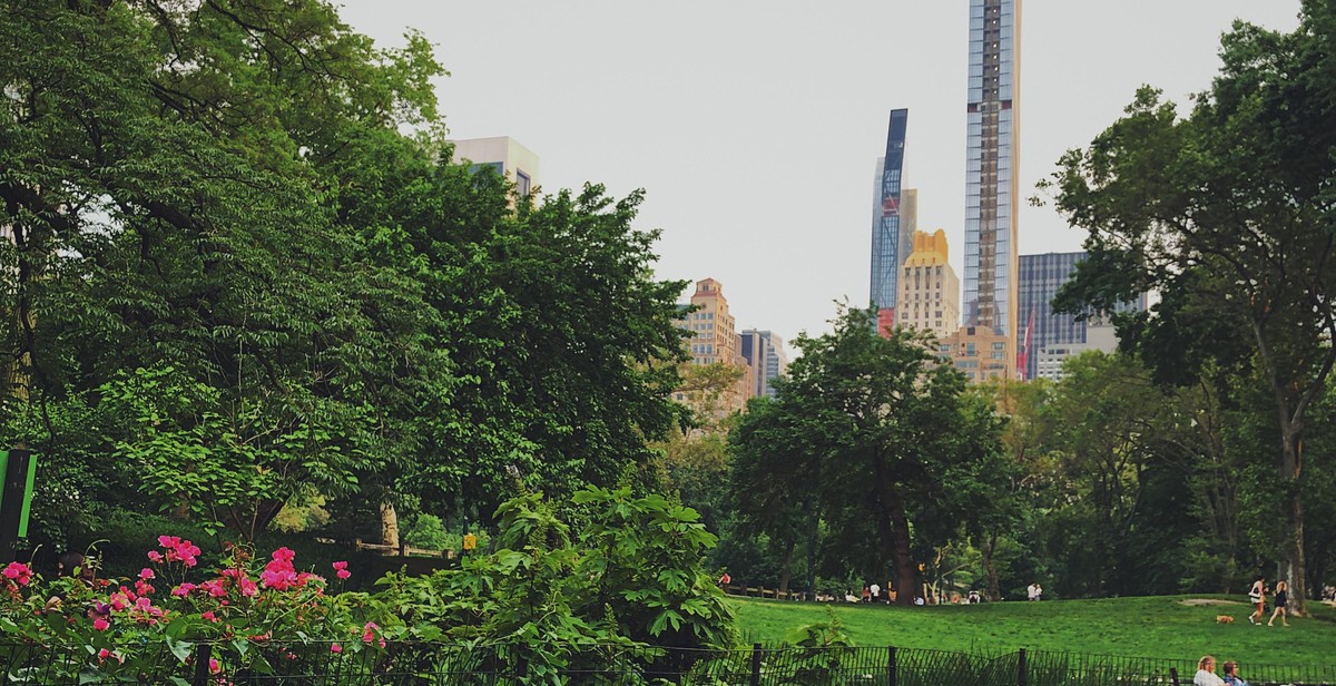 sustainable urban garden space