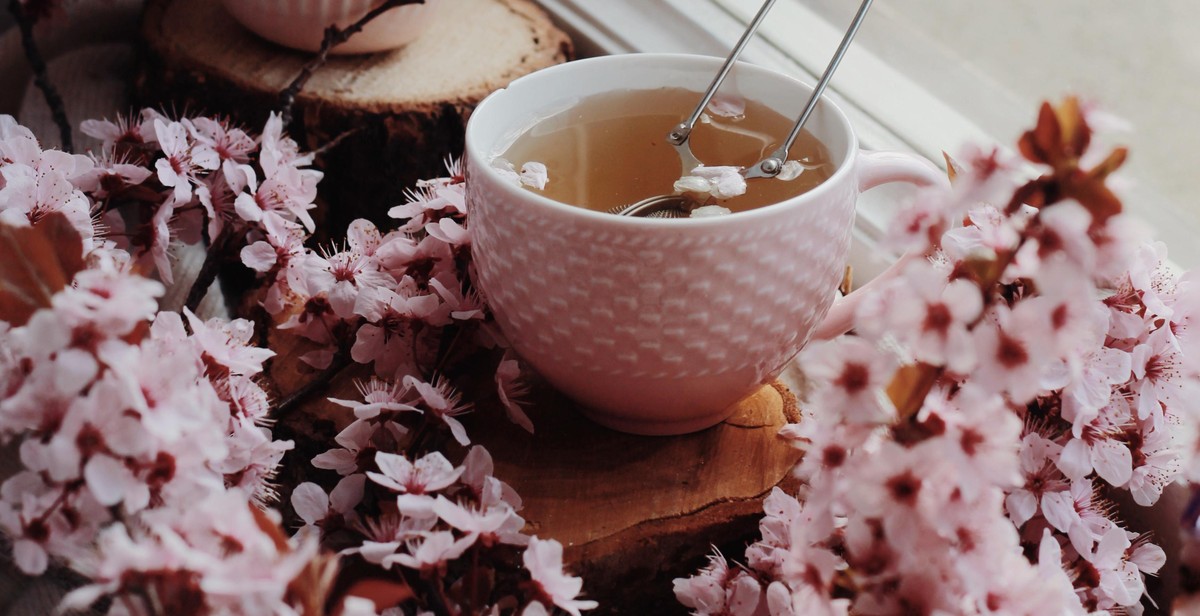 types of herbal tea