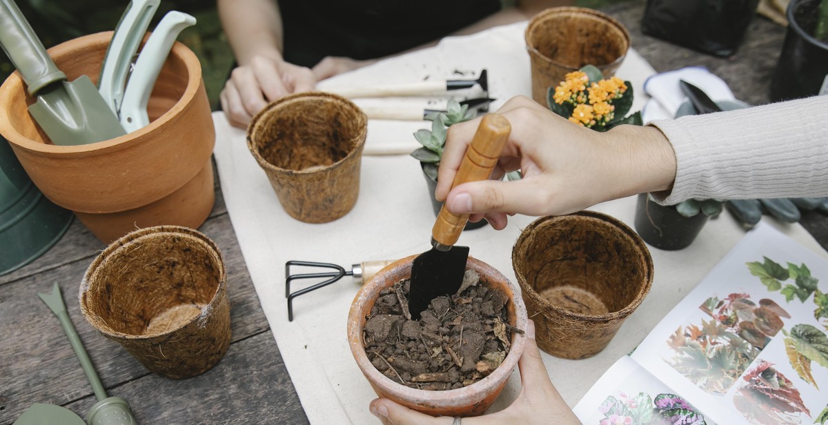 vertical herb garden preparation