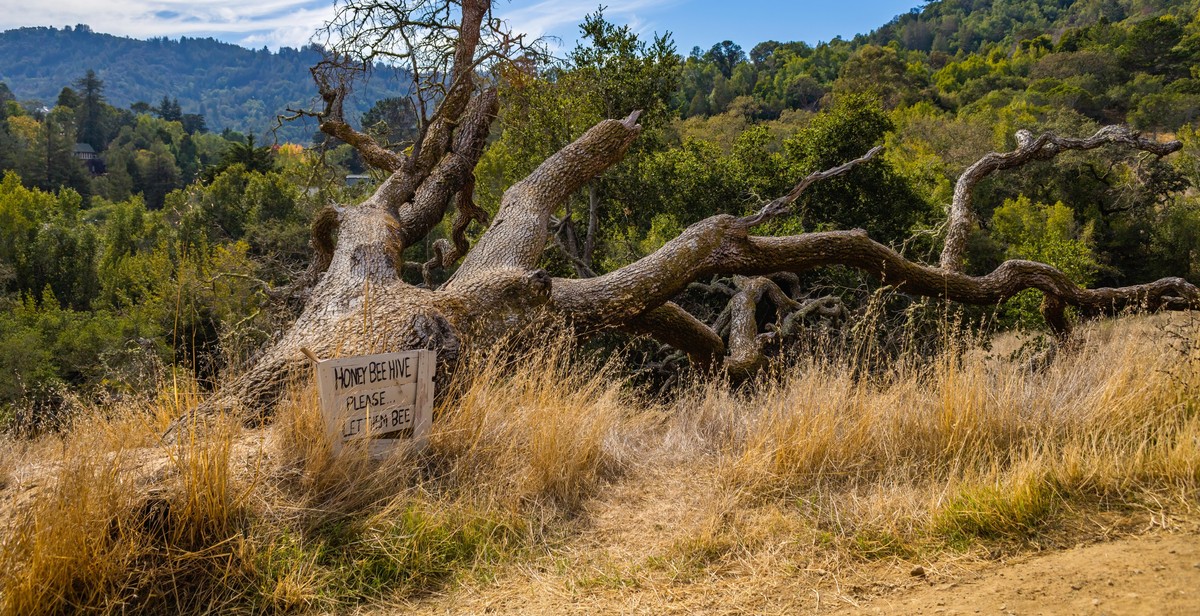 wildlife sign