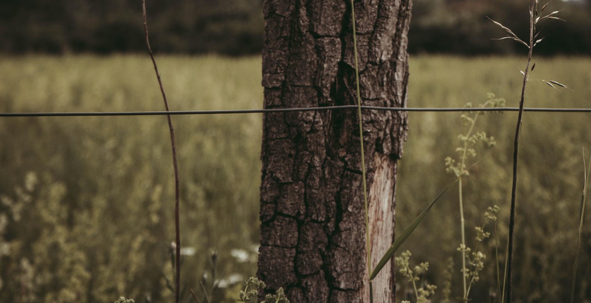 wood fence posts