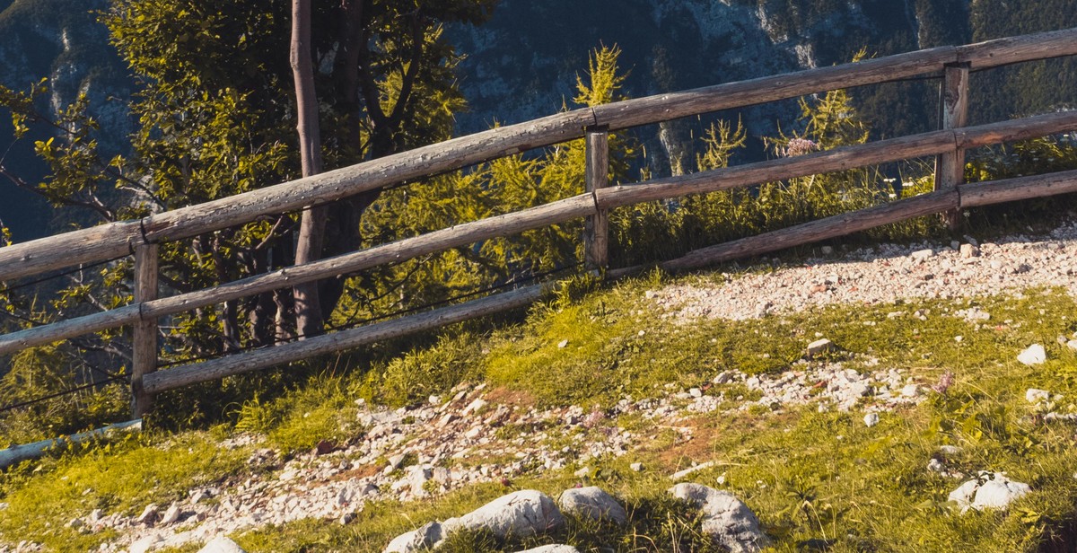 wood fence rails and pickets