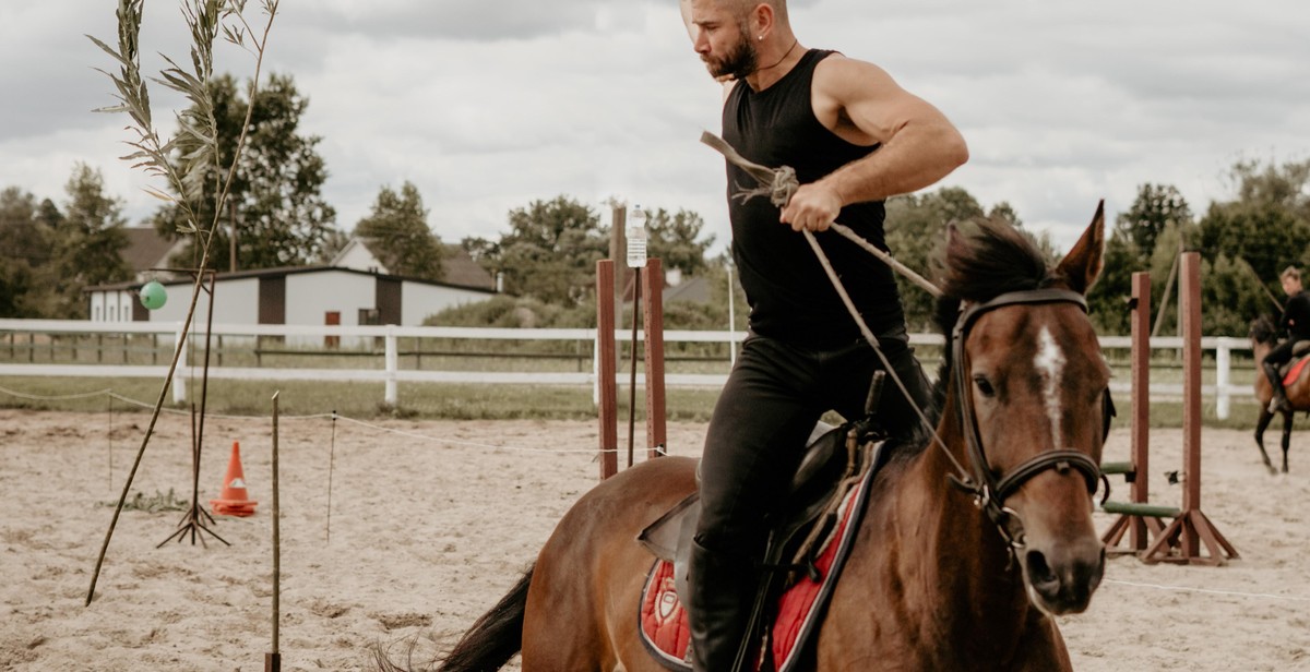 advanced horse training techniques