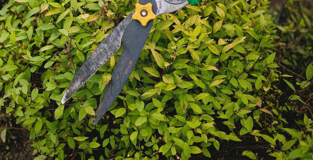 earthquake garden maintenance