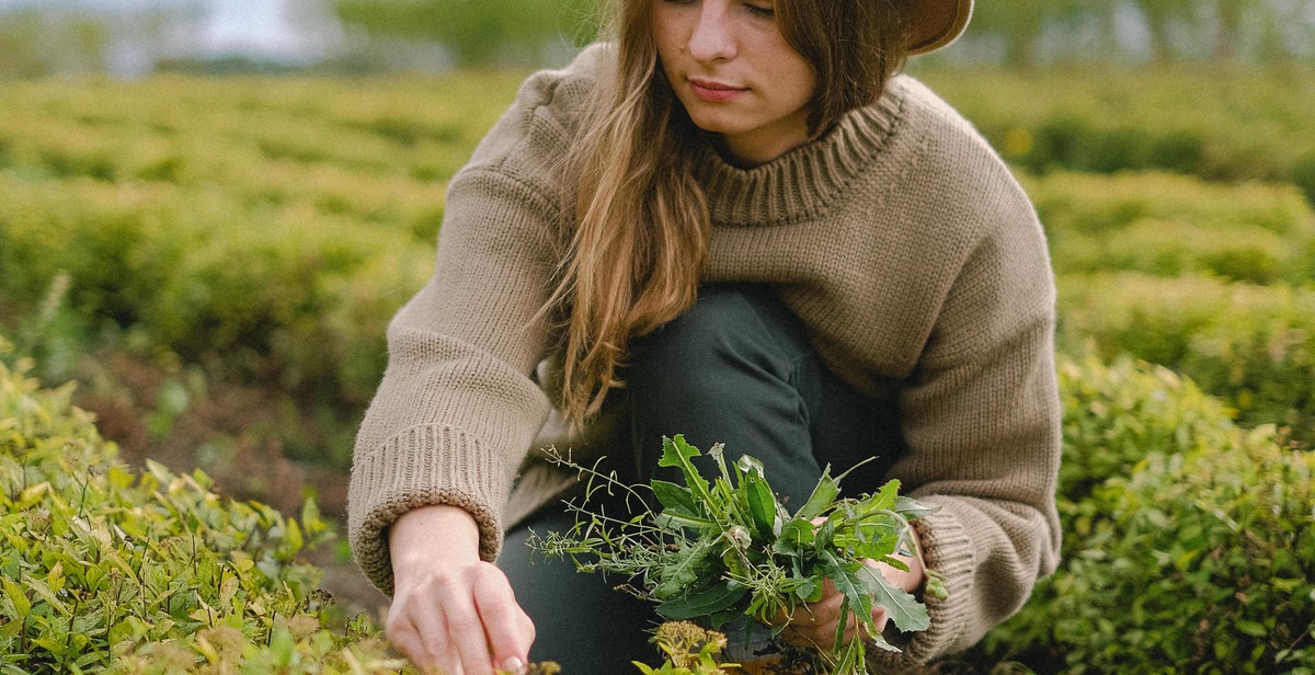 frog garden maintenance