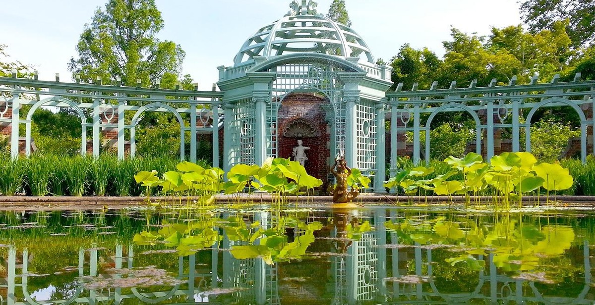 goldfish pond outdoor