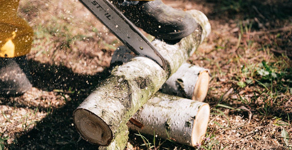 hammock stand cutting lumber