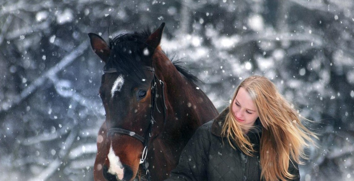 happy horse in winter