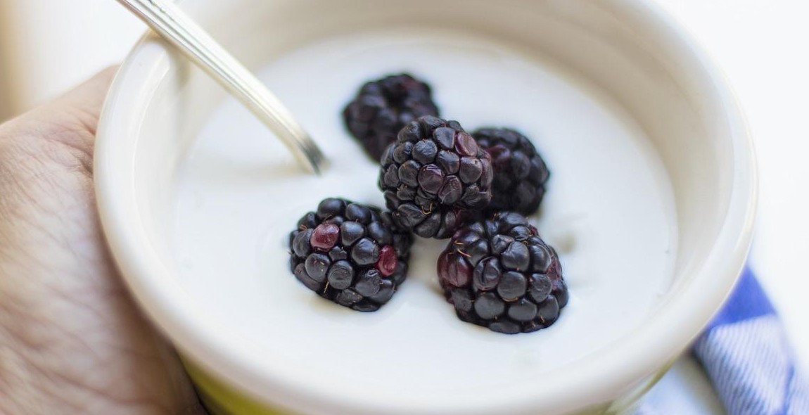 homemade yogurt