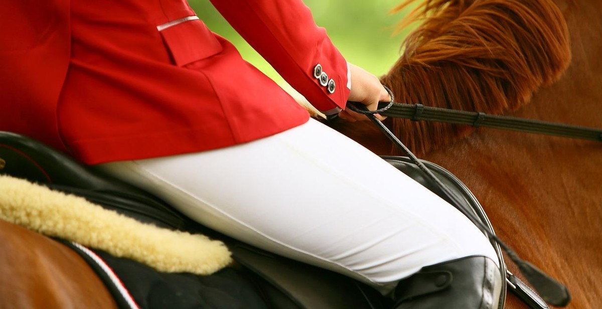 horse and rider show jumping