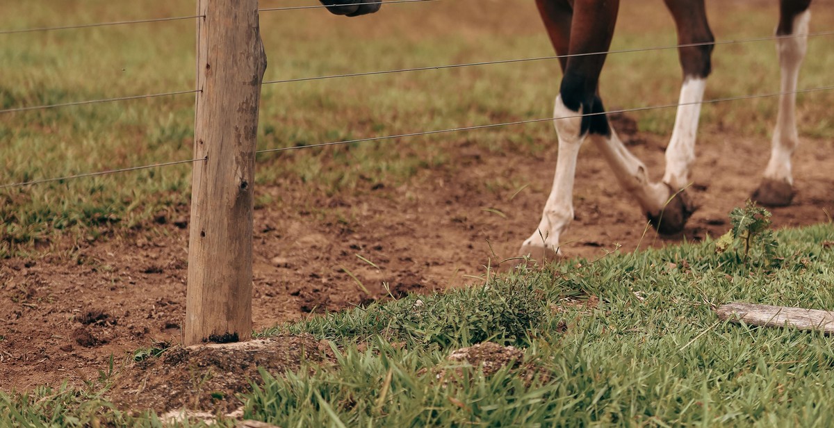 horse property fencing conclusion