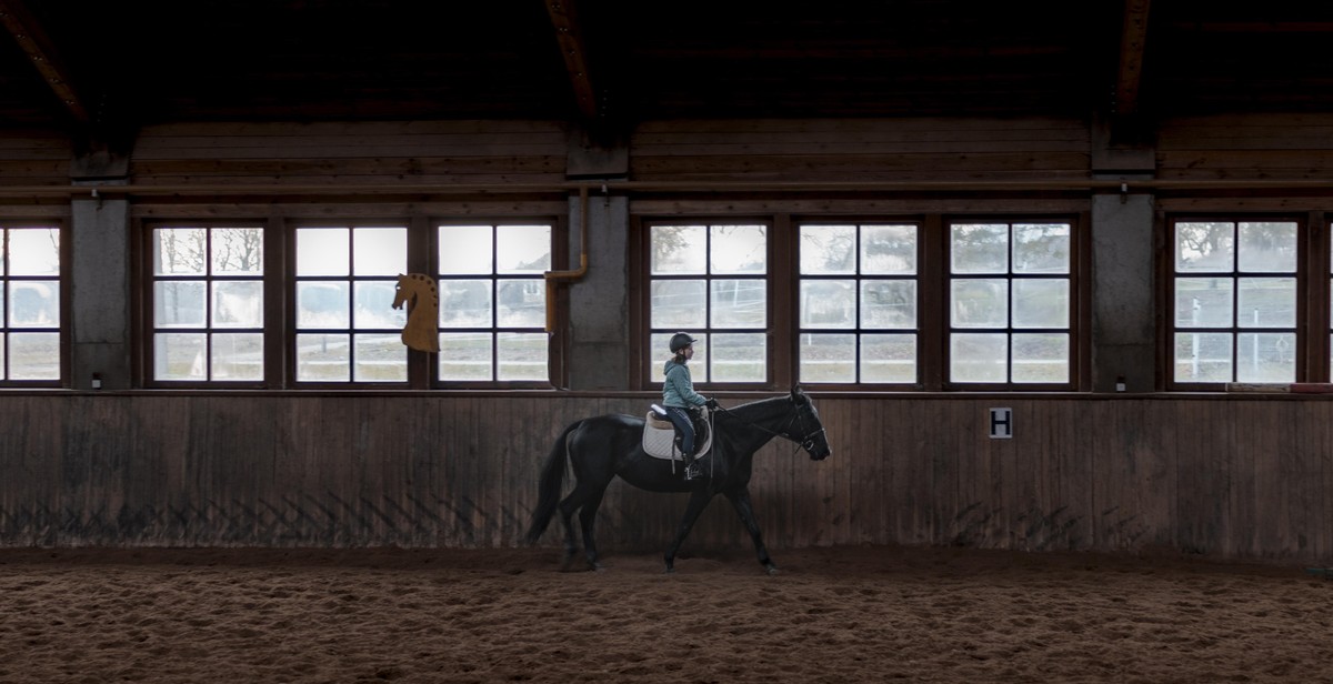 horse riding skills training