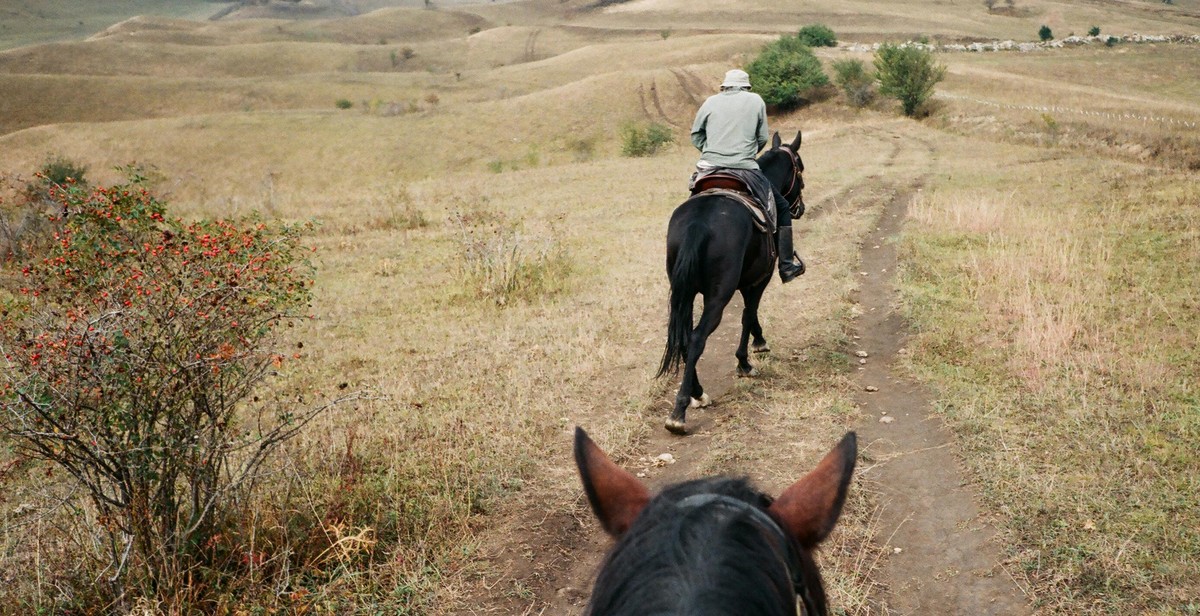 Horseback riding activities