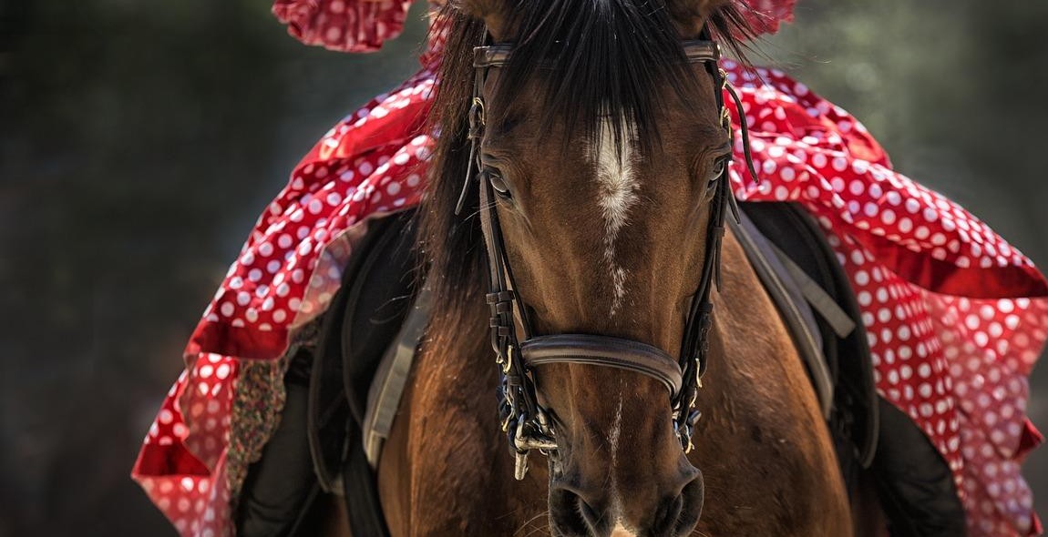 horseback riding bridles