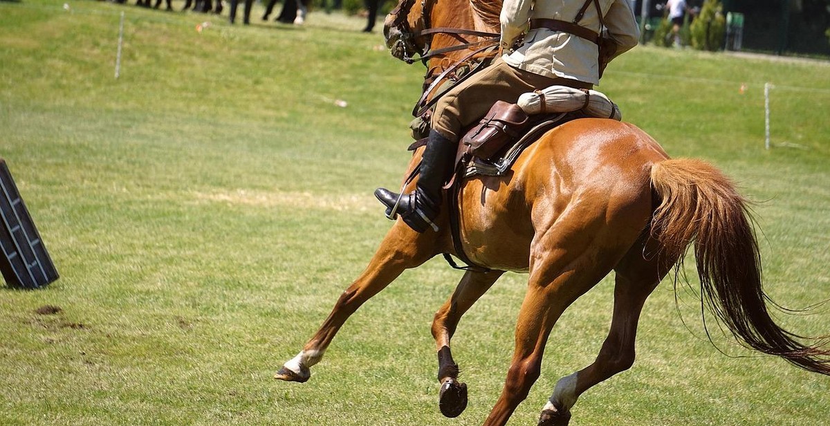 horseback riding event