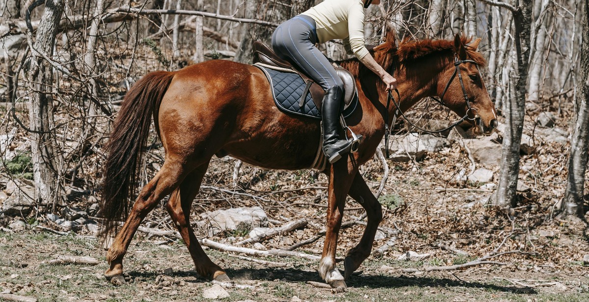 horseback riding strategies
