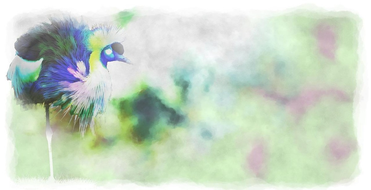 watercolor composition and design