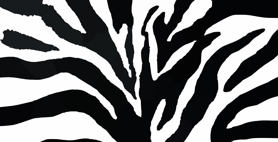 zebra print fabric texture